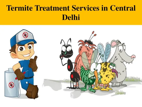 Termite Treatment Services in Central Delhi - Pest Control