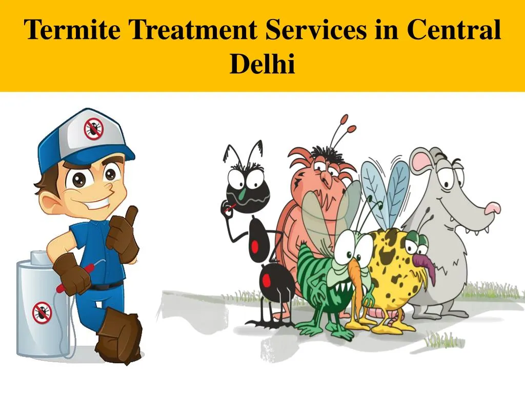 termite treatment services in central delhi