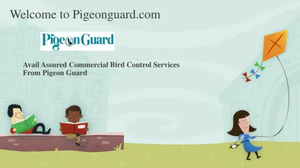 Avail Assured Commercial Bird Control Services From Pigeon Guard