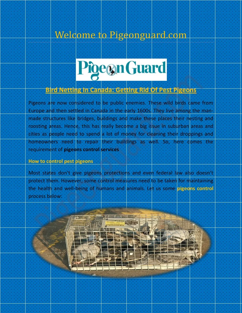 welcome to pigeonguard com