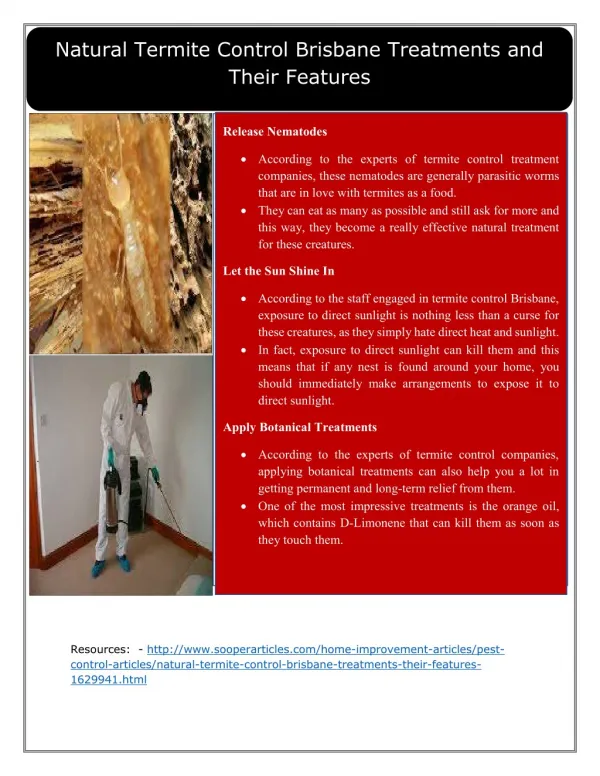 Natural Termite Control Brisbane Treatments and Their Features