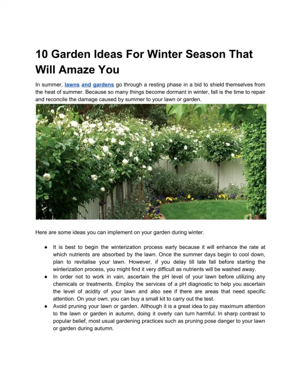 10 Garden Ideas For Winter Season That Will Amaze You