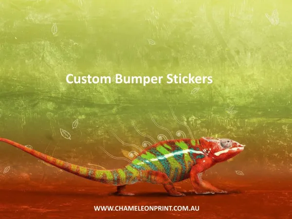 Custom Bumper Stickers - Chameleon Print Group