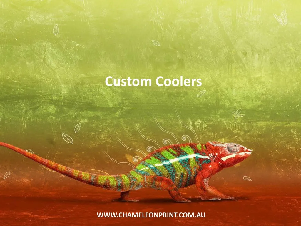 custom coolers