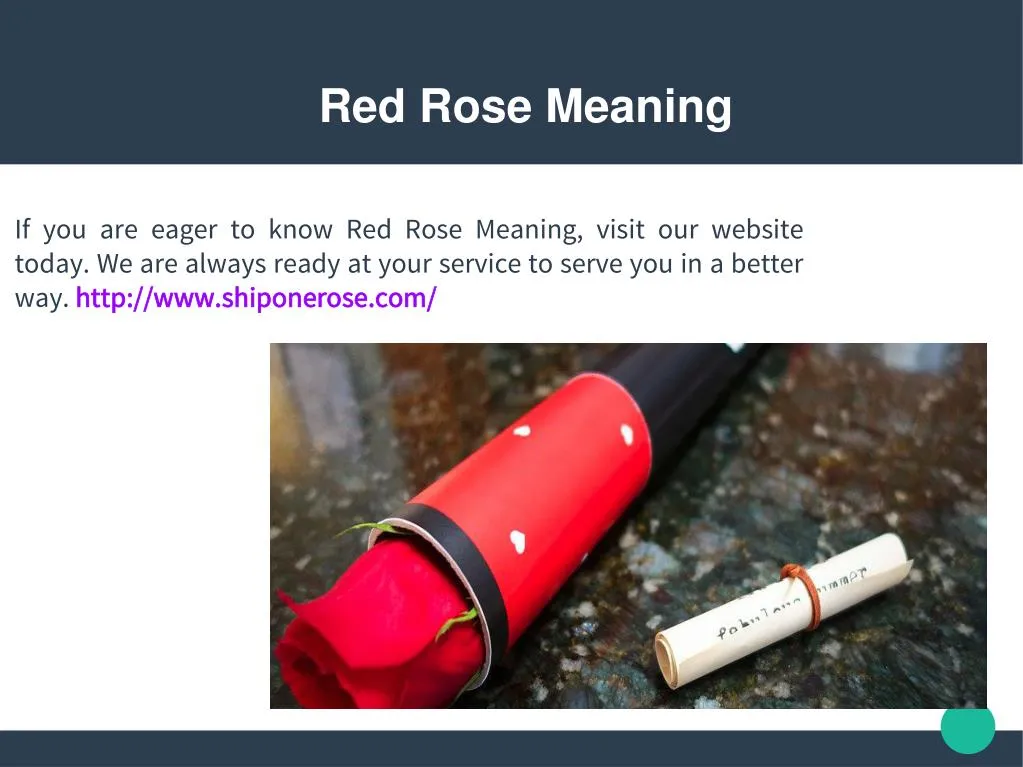 red rose meaning