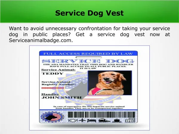 Service dog tag