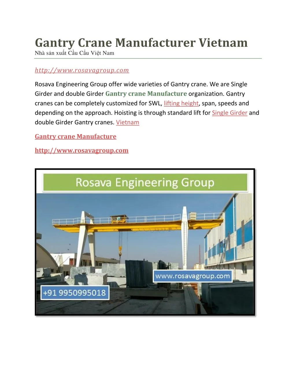 gantry crane manufacturer vietnam