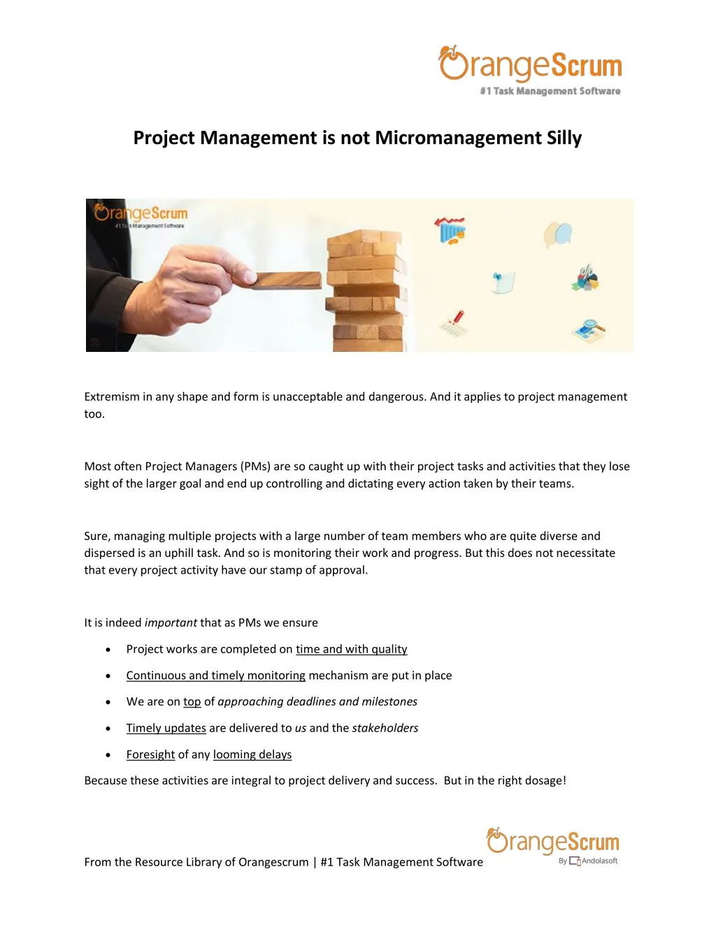 project management is not micromanagement silly
