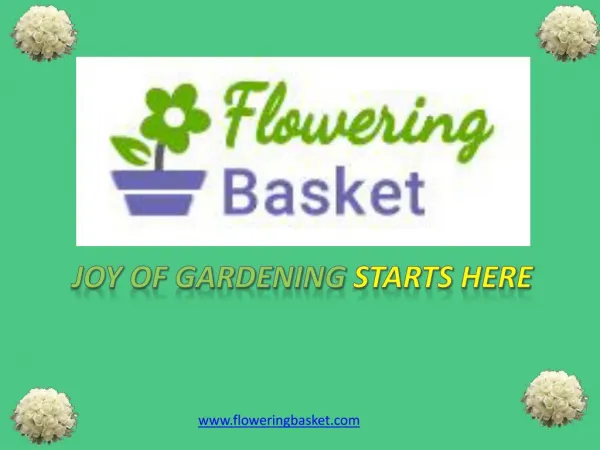 Floweringbasket6
