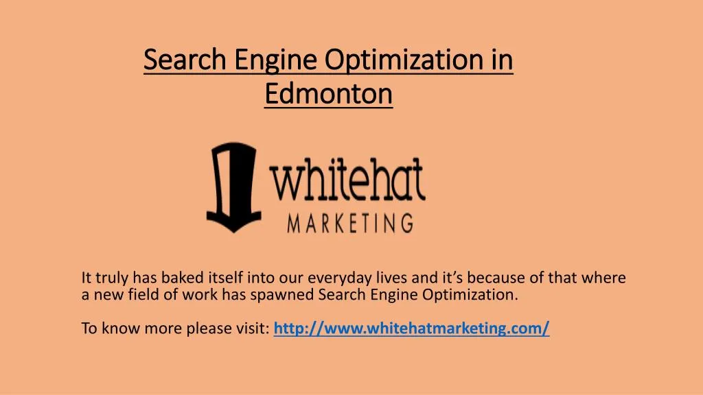 search engine optimization in edmonton