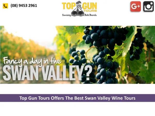 Top Gun Tours Offers The Best Swan Valley Wine Tours