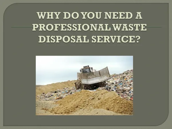 Why Do You Need A Professional Waste Disposal Service?