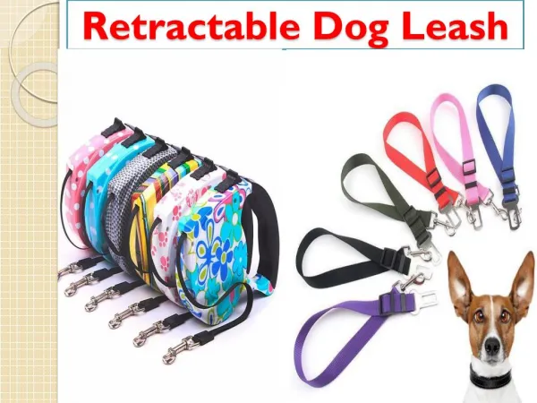 Retractable Dog Leash Available in Cheap Price