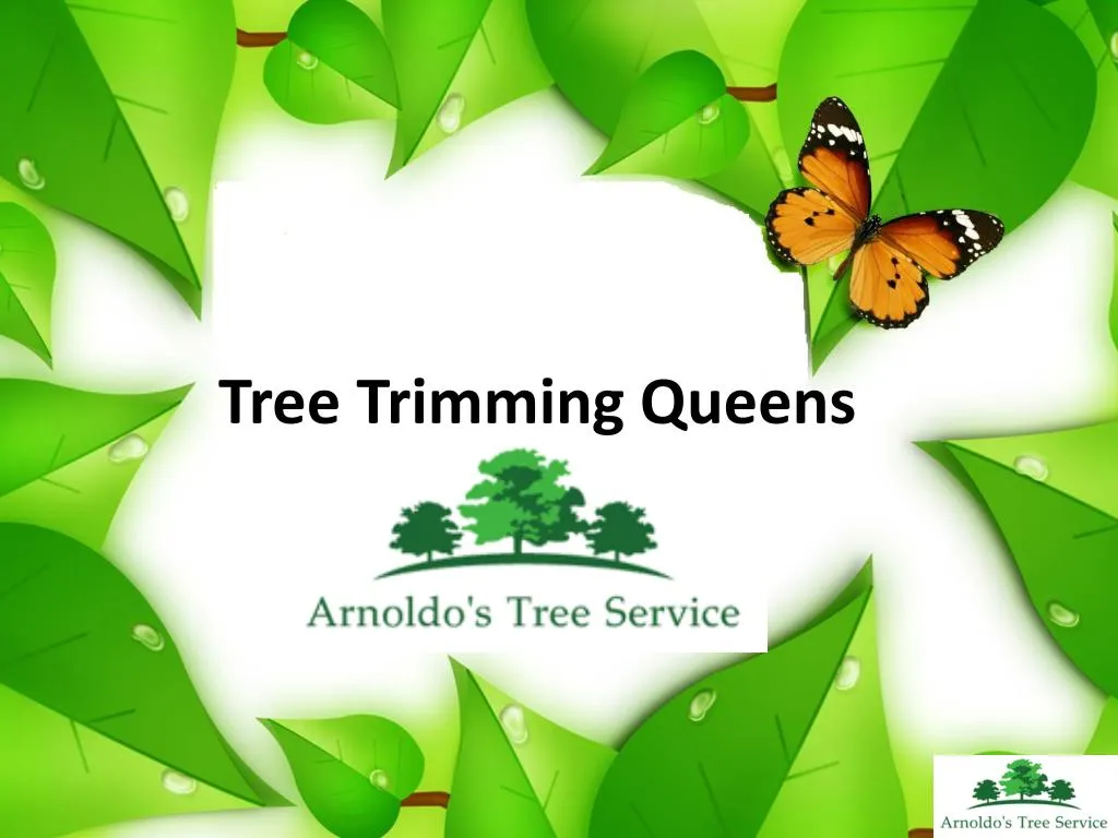 tree trimming queens