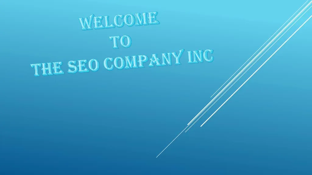 welcome to the seo company inc