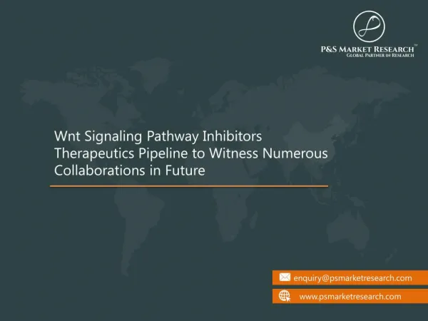 Wnt Signaling Pathway Inhibitors Therapeutics Pipeline to Witness Numerous Collaborations in Future