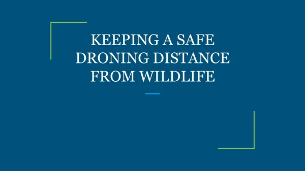 KEEPING A SAFE DRONING DISTANCE FROM WILDLIFE