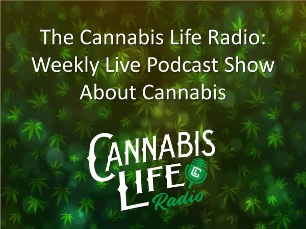 The Cannabis Life Radio: Weekly Live Podcast Show About Cannabis 