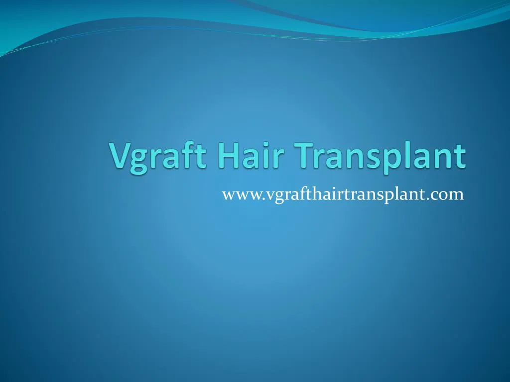 vgraft hair transplant