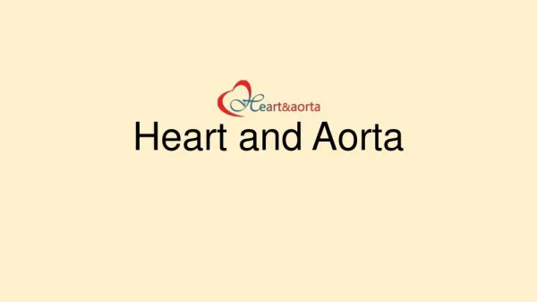 Aortic Surgery in Kerala | Heart and Aortic Diseases