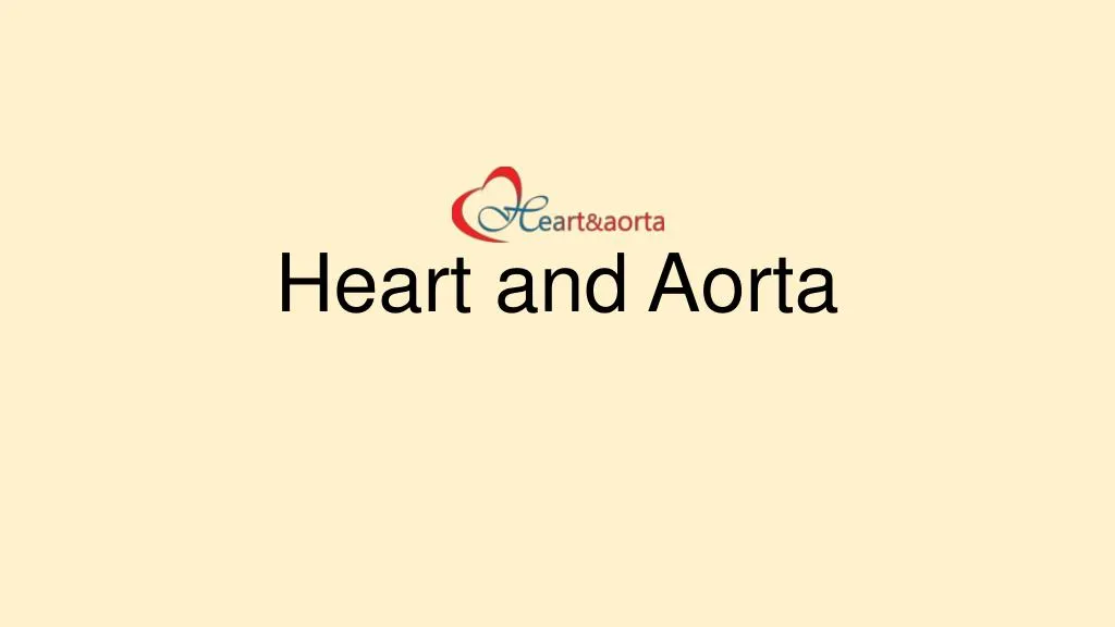 heart and aorta