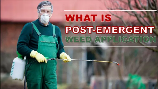 What Is Post-Emergent Weed Application