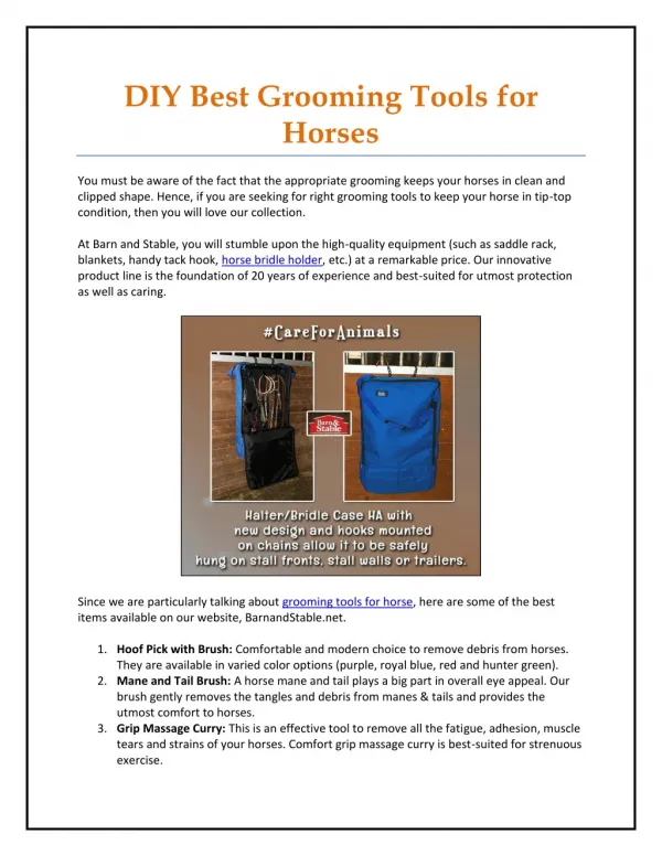 DIY Best Grooming Tools for Horses