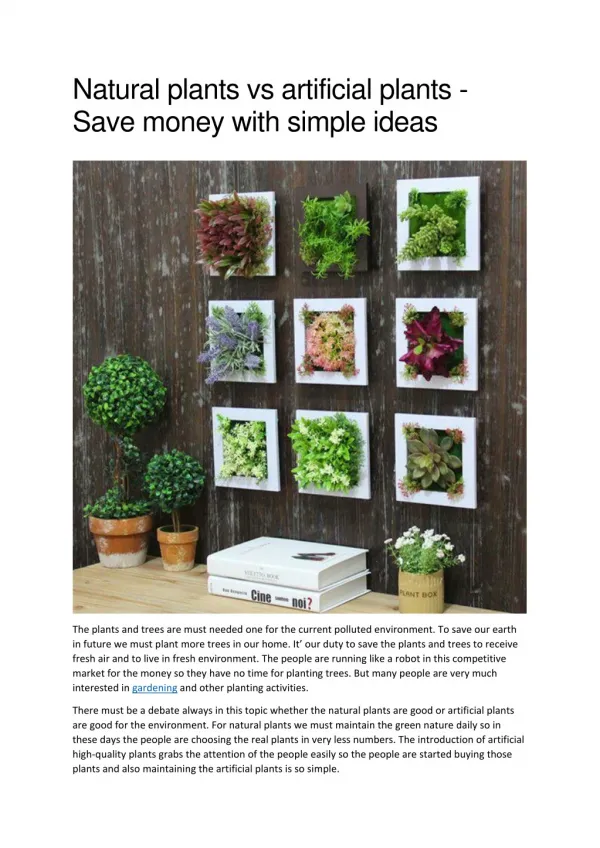 Natural plants vs artificial plants – Save money with simple ideas