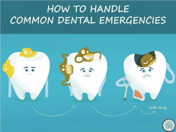 How To Handle Common Dental Emergencies - New Orchard Dentistry