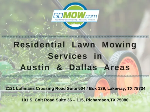 Searching for Residential Lawn Mowing Services in Austin & Dallas Areas ?