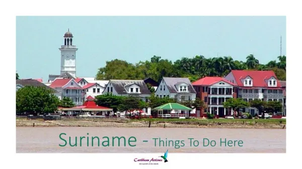 Suriname - Things To Do Here