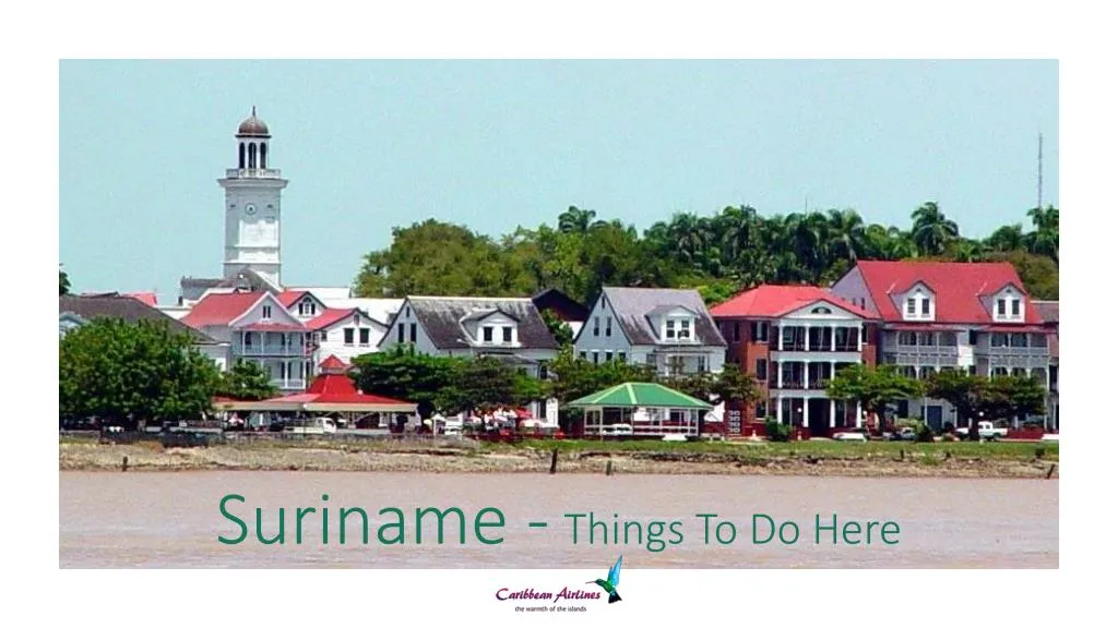 suriname things to do here