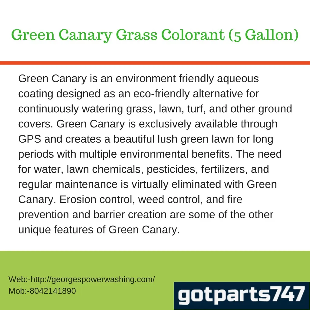 green canary grass colorant 5 gallon