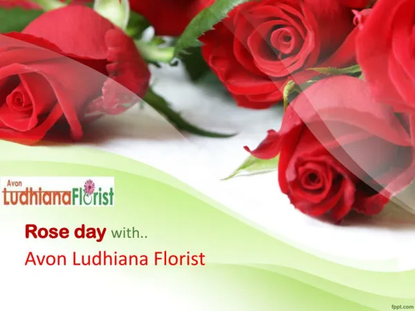 Online Rose Day flower Delivery to Ludhiana