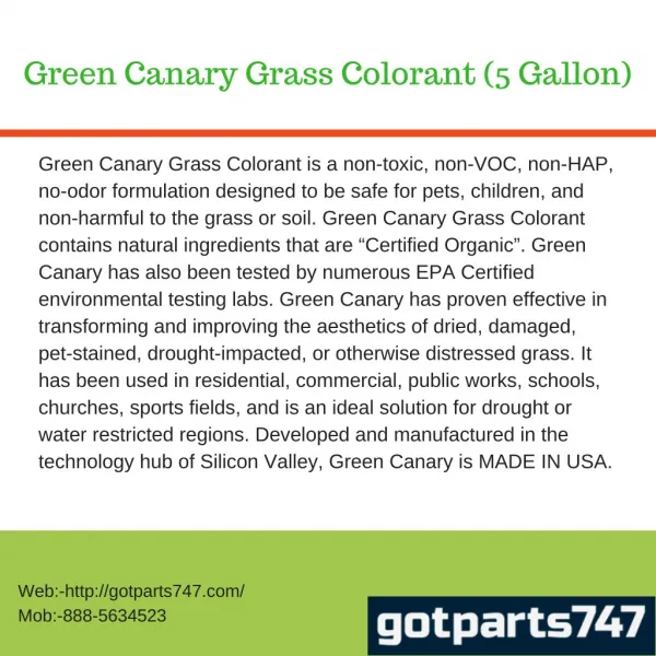 Green Canary Grass Colorant (5 Gallon)