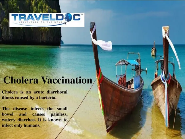 cholera vaccination