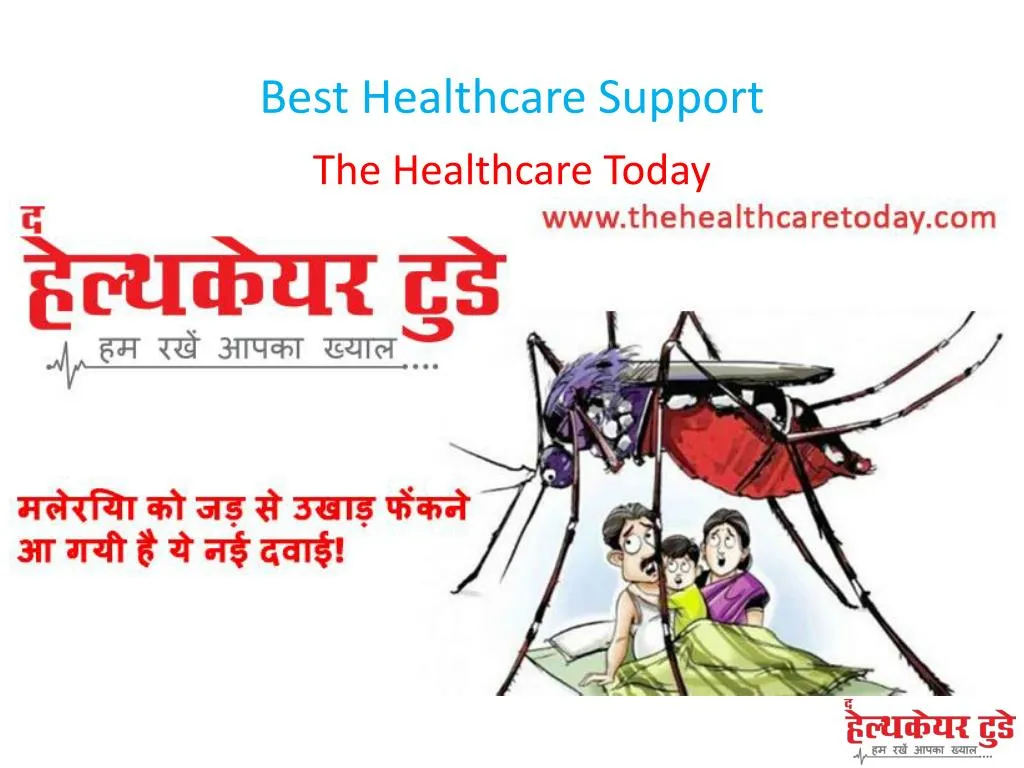 best healthcare support