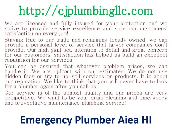 Plumbing contractor Aiea HI - USA
