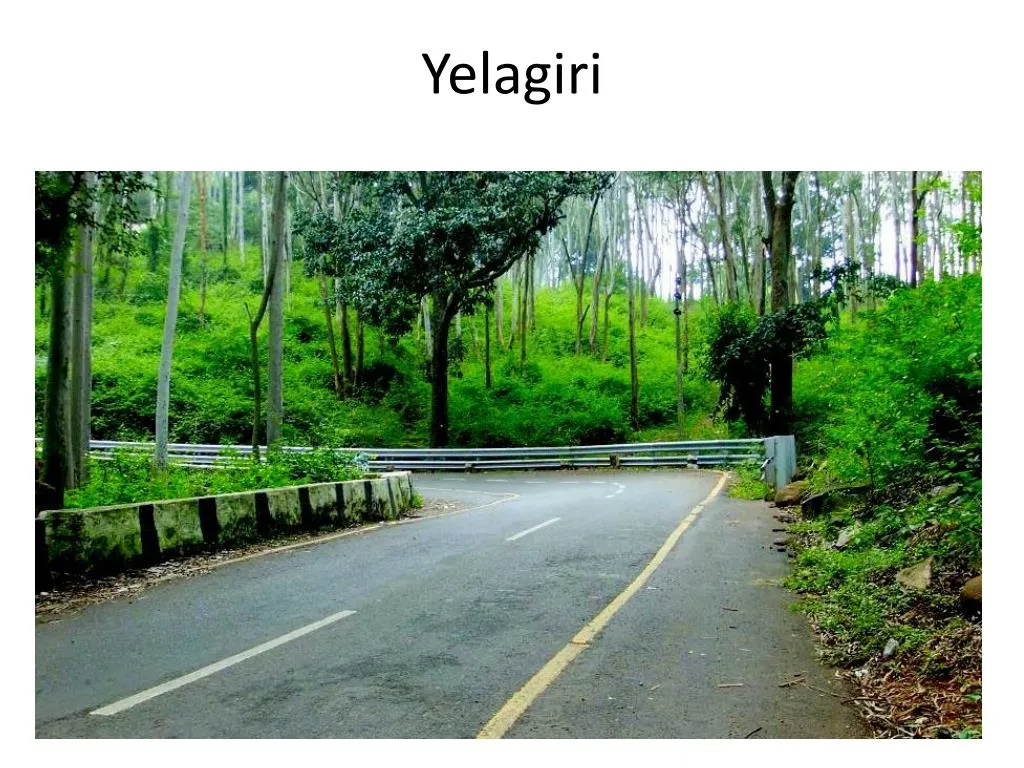 yelagiri