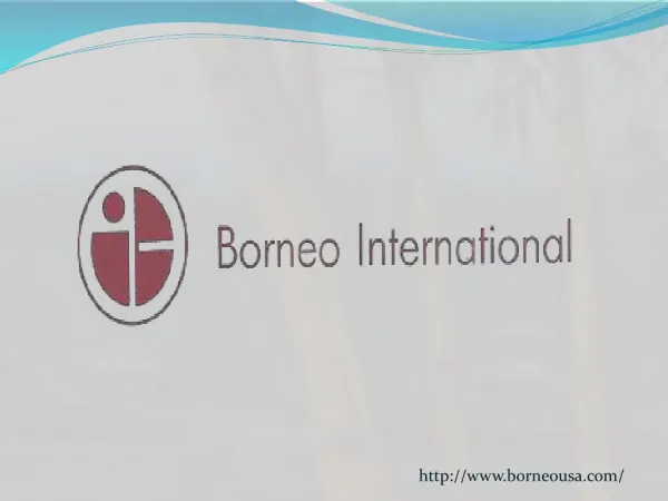 Borneo international