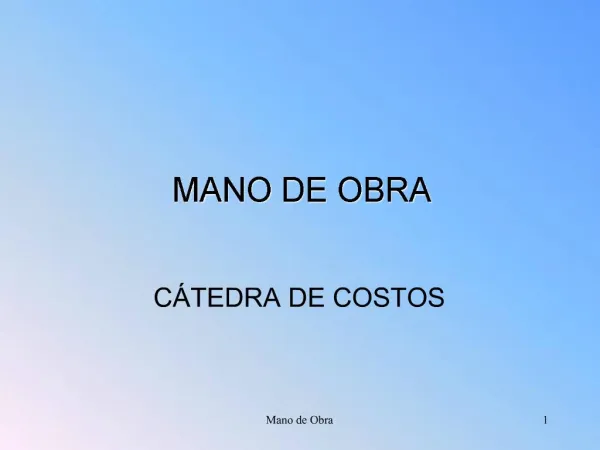 MANO DE OBRA