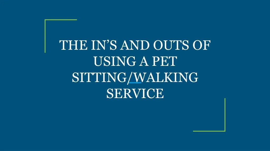 the in s and outs of using a pet sitting walking service