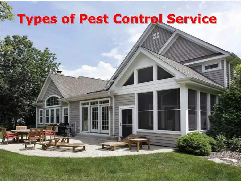 types of pest control service