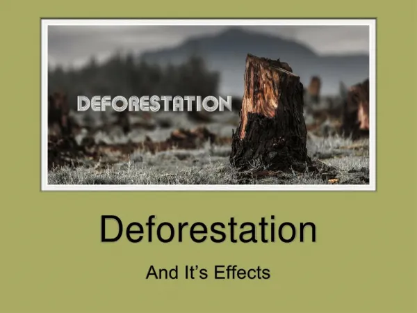 Deforestation and It's Effects