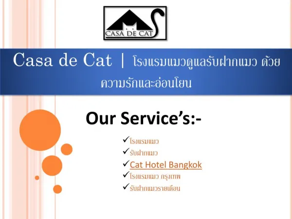 casa de cat