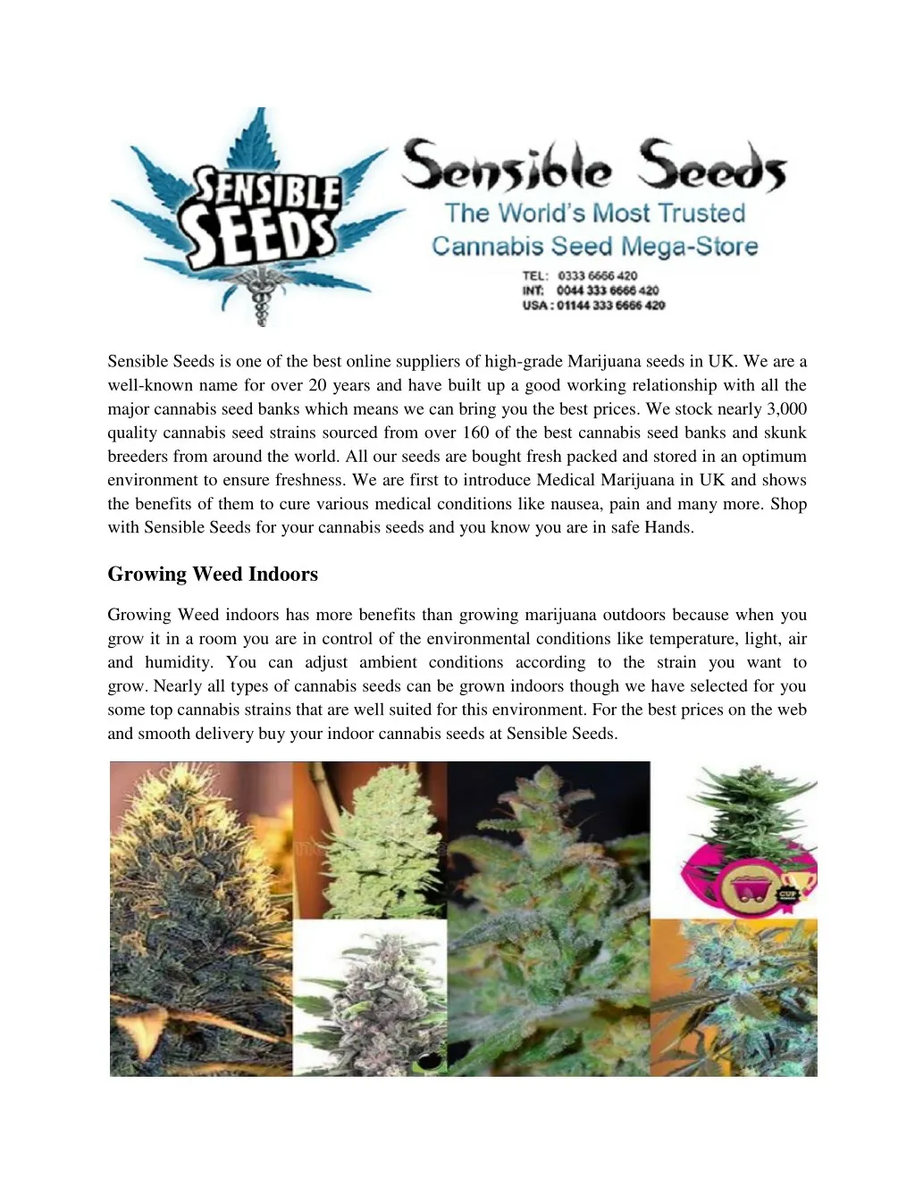 sensible seeds is one of the best online