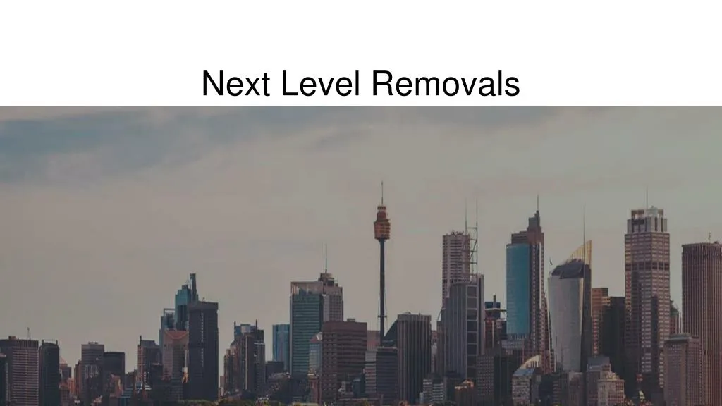 next level removals