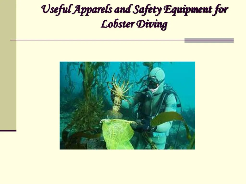 useful apparels and safety equipment for lobster diving