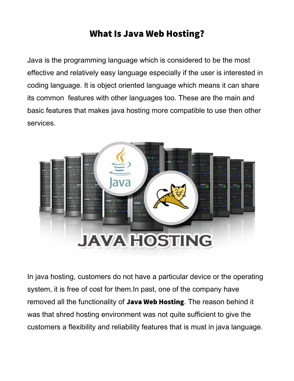 what is java web hosting