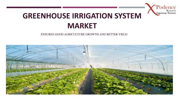 Research delivers insight into the Global Greenhouse Irrigation System